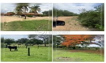 Imagem: Fazenda à venda no bairro Centro - São