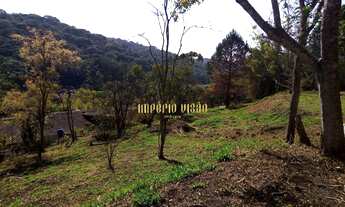 Imagem 5: Lote com 3.038m² à venda em Ouro Fino - Suzano-SP