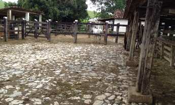 Imagem 5: Fazenda Pecuária Produtiva - Itapetinga - 20 Alqueires