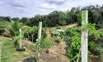 Imagem 4: SÍTIO EM PRESIDENTE FIGUEIREDO - R$ 65.000,00