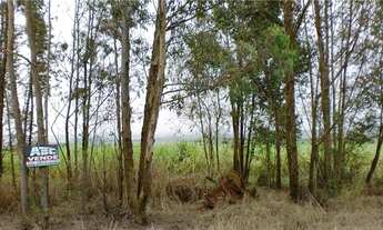 Imagem 5: área - Area Rural - Limeira