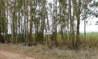 Imagem 4: área - Area Rural - Limeira