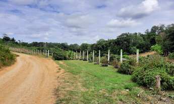 Imagem 6: SÍTIO EM PRESIDENTE FIGUEIREDO - R$ 65.000,00