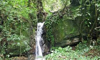 Imagem 2: Fazenda/Sítio/Chácara para venda tem 121 metros quadrados com 3 quartos