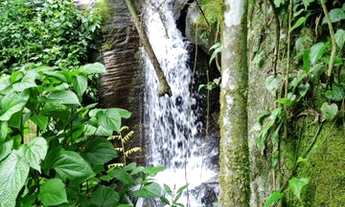 Imagem 6: Fazenda/Sítio/Chácara para venda tem 121 metros quadrados com 3 quartos