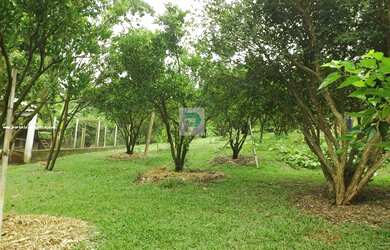 Imagem 5: Sítio para Venda em Mogi das Cruzes, Taboão