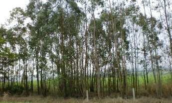 Imagem 2: área - Area Rural - Limeira