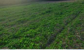 Imagem 3: Compre direto com o proprietário! APROVEITE!