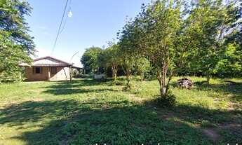 Imagem 7: Sítio à venda, 15 hectares, 320 pés de limão produzindo, Poço artesiano