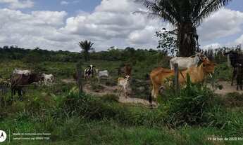 Imagem 2: 200 Hectares pronta e documentada sentido Capanema