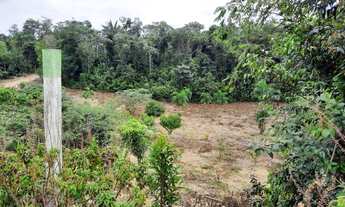 Imagem 5: SÍTIO EM PRESIDENTE FIGUEIREDO - R$ 65.000,00