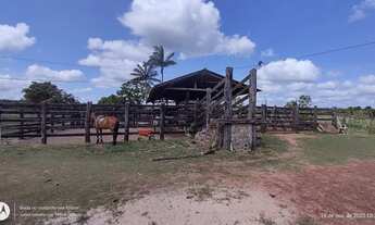 Imagem 6: 200 Hectares pronta e documentada sentido Capanema