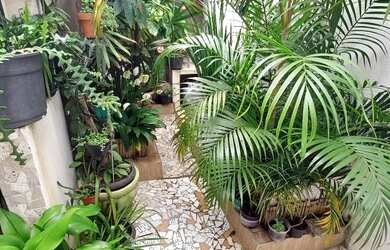 Imagem 3: Sobrado com 3 dormitórios a venda no Parque Maria Helena