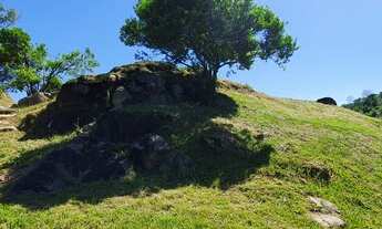 Imagem 3: Área de terras com 5,6 há, dos quais 4 há com videiras produtivas