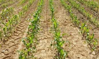 Imagem 2: Fazenda à venda no bairro Área Rural de Unaí - Unaí/MG