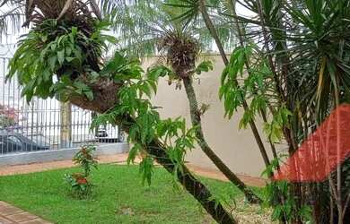 Imagem 2: Alto Higienopolis