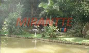 Imagem 4: Em SANTA INÊS Terreno / lote com venda por R$95.000