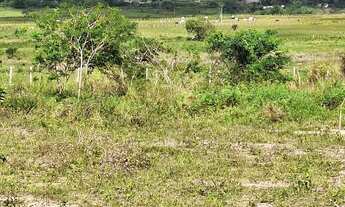 Imagem 2: Vendo Área 13.068 m² / R$ 470.000,00