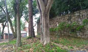 Imagem 7: CASA TÉRREA - CIDADE JARDIM - SP