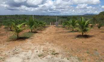 Imagem 4: Chácara 3 tarefas pronta pra morar