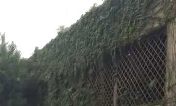 Imagem 4: CASA TÉRREA - CIDADE JARDIM - SP