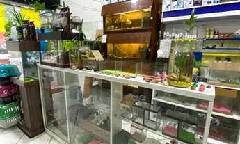 Imagem 5: Passo Ponto Pet Shop Completa