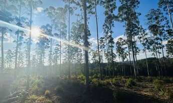 Imagem 6: Wl. Residencial Campolim: O cenário ideal para escrever a sua história