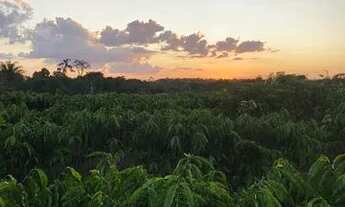 Imagem 7: Vende-se chácara de 2 alqueires