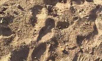 Imagem 6: Vendo ou troco terreno 804mts próximo a Caraguatatuba