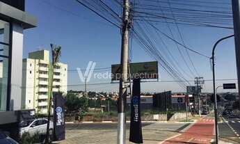 Imagem 5: área - Parque São Miguel - Hortolândia