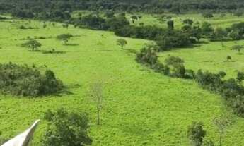 Imagem: . Uma Fazenda 400 Alqueires 80 km do município