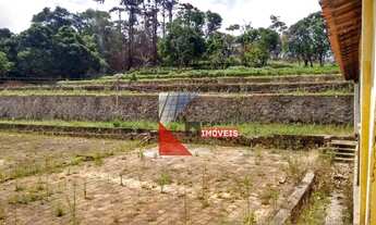 Imagem 7: Fazenda com 92 alqueires à venda em Amparo- SP