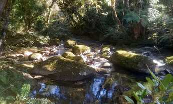 Imagem 4: Chácara linda a venda em Campo alegre sc