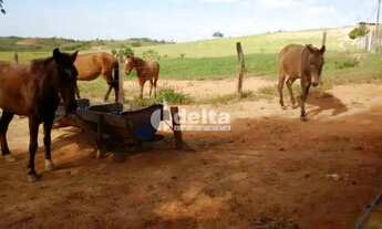 Imagem 4: Fazenda à venda, 3 quartos, Área Rural de Uberlândia - Uberlândia/MG