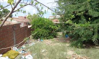 Imagem 6: Terreno com casa