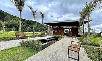 Imagem 5: Cód.: 11154 - Estrela Alta