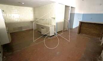 Imagem 5: Comercial Galpão/Barracão em Marília