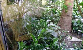 Imagem 7: CASA EM CONDOMÍNIO - PACAEMBÚ - SP