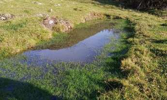 Imagem 5: Linda área 8 hectares frente para a Rota do Sol