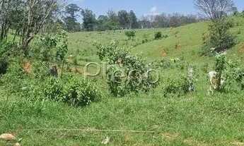 Imagem 4: Chácara à venda no Bairro Nossa Senhora de Lourdes, em Campinas