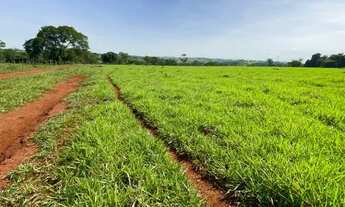 Imagem 4: 14 alqueires à 5 km da cidade em Trindade-GO