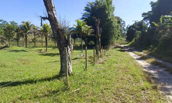 Imagem: Vendo chácara com nascente