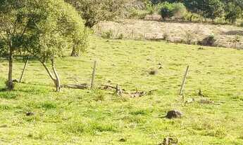 Imagem 7: Linda área 8 hectares frente para a Rota do Sol