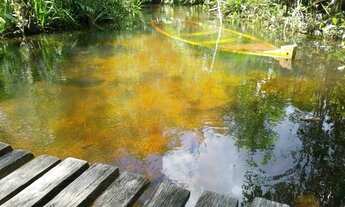 Imagem: Terreno rural 70 hectares localizado no