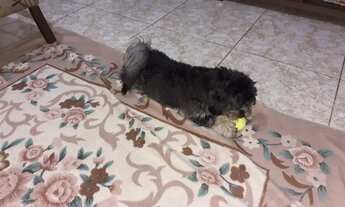 Imagem 2: Aluga-se casa no centro de sorocaba 3 cômodo