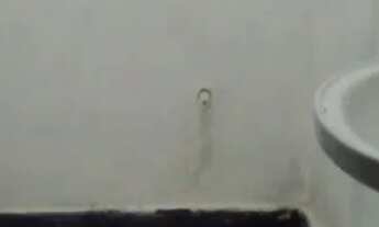 Imagem 5: Casa de 2/4 no Porto laranjeiras