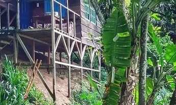 Imagem: Sítio agroflorestal no Recreio dos Bandeirantes