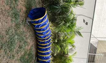 Imagem 3: SãO PAULO - Apartamento Padrão - Perdizes