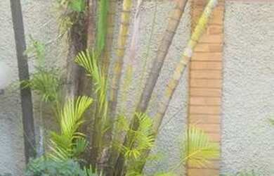 Imagem 4: SOBRADO - VILA ROMANA - SP