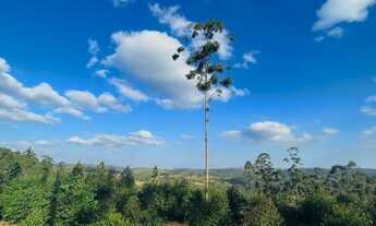 Imagem 4: Wl. Residencial Campolim: O cenário ideal para escrever a sua história